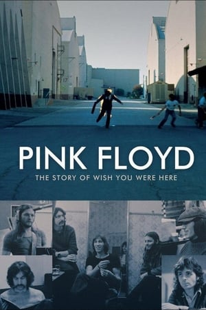 Pink Floyd : The Story of Wish You Were Here