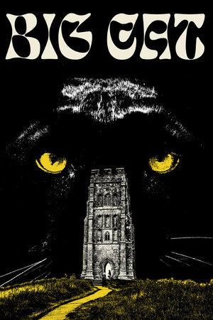 Big Cat poster