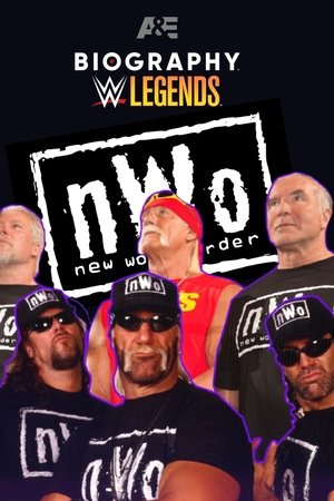 Biography: nWo