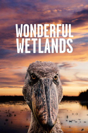 Wonderful Wetlands Wonderful Wetlands