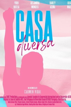 Diverse House poster