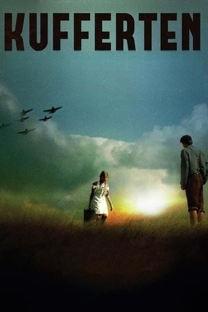 The Suitcase
