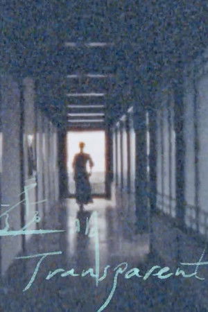 Poster of Transparent