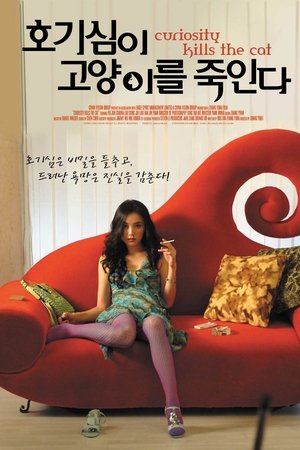호기심이 고양이를 죽인다