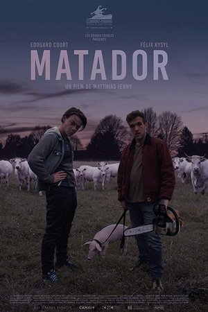 Matador