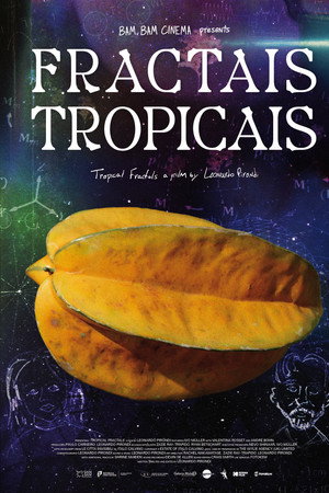 Fractais Tropicais