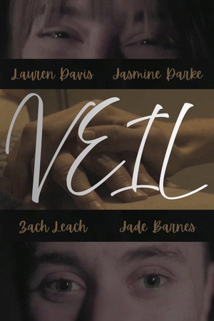 Veil poster