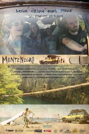 Montenegro Road Movie