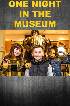 One Night in the Museum