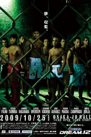 DREAM 12
