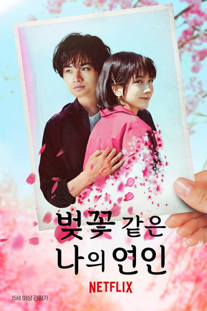 벚꽃 같은 나의 연인
