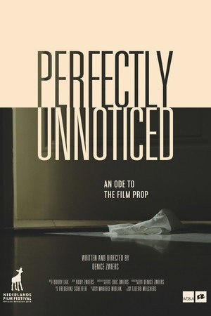 Perfectly Unnoticed poster