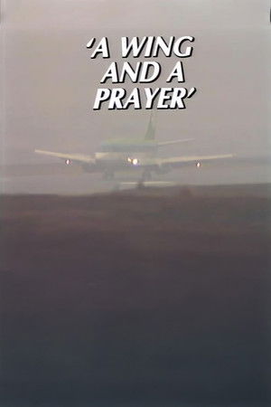 A Wing and a Prayer – The Story of Knock Airport