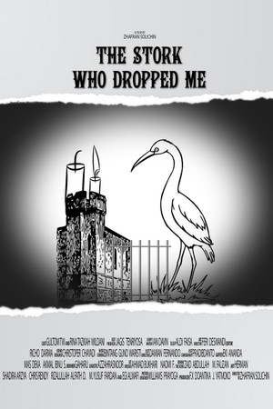 The Stork Who Dropped Me poster