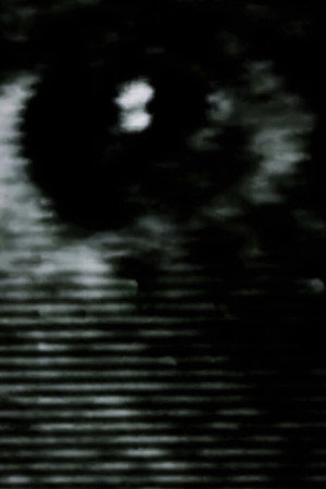 Scusate il disturbo poster
