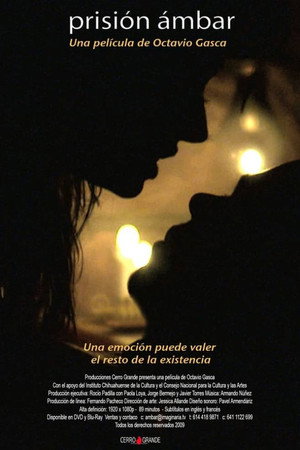 Prisión ámbar poster