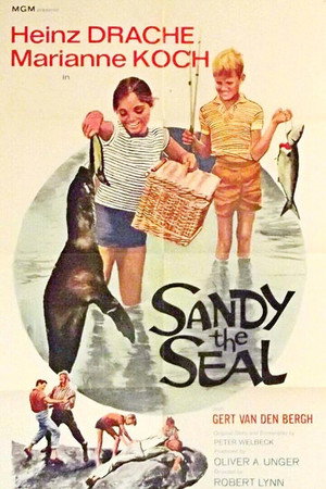 Sandy the Seal