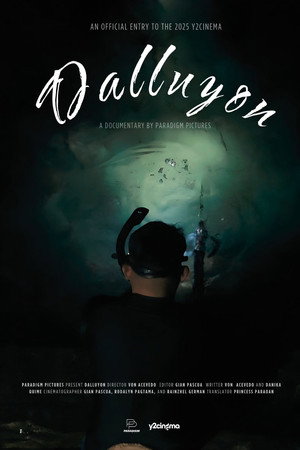 Dalluyon poster