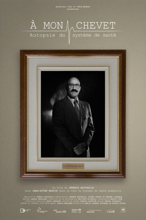 À mon chevet : autopsie du système de santé