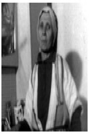 Поле