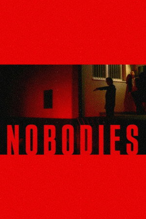 Nobodies poster