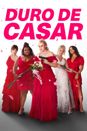Poster do filme Duro de Casar