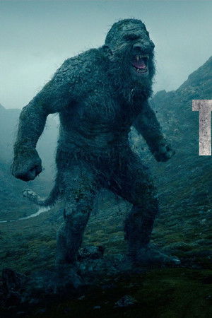 Operação Sombra (2025)