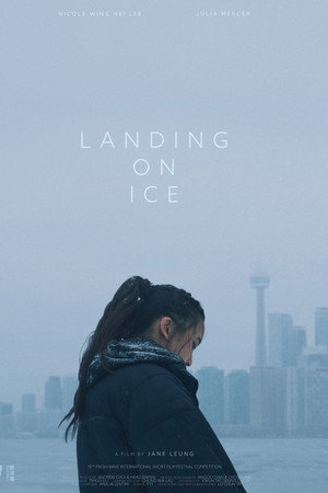 Landing On Ice poster