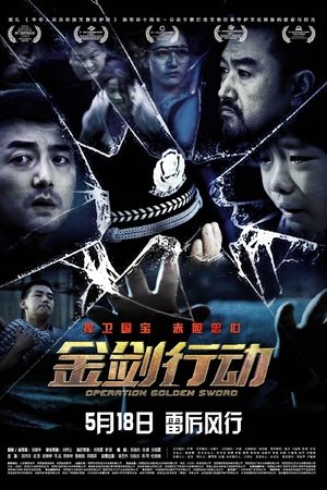 金剑行动