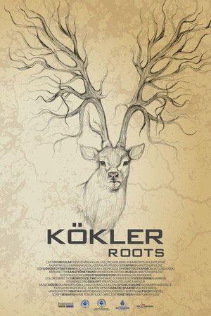 Kökler