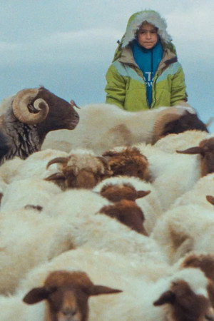 6g3oegs6xfvb52o6yfilryfz7ye