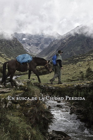 En busca de la ciudad perdida poster