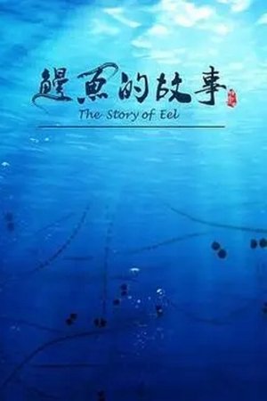 鳗鱼的故事