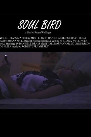 Soul Bird
