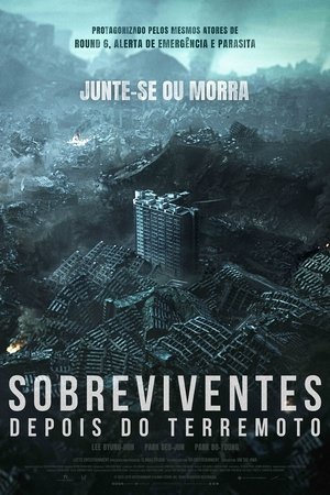 Imagem Sobreviventes - Depois do Terremoto