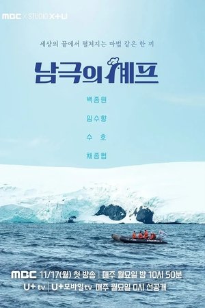Chef of Antarctic