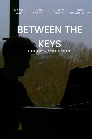 Between the Keys poster