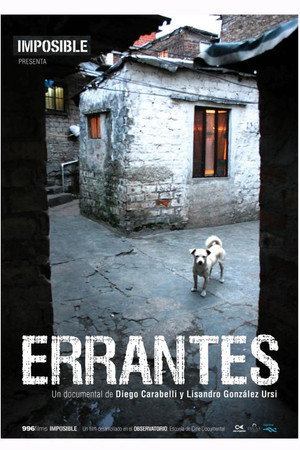 Errantes poster