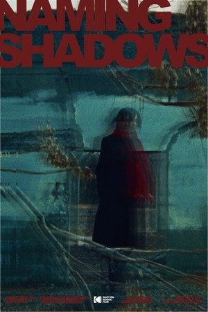 Naming Shadows poster