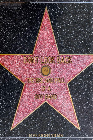 Don't Look Back: The Rise & Fall of a Boy Band