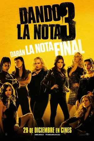 Dando la Nota 3
