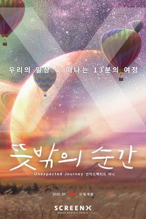 뜻밖의 순간 : 언익스펙티드 저니