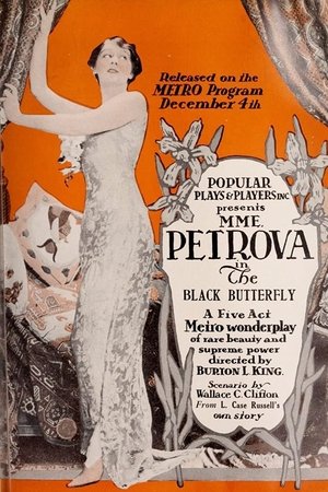 The Black Butterfly