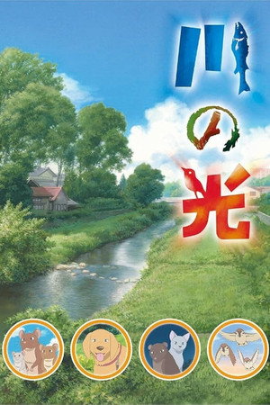 川の光 川の光