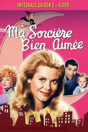 Ma Sorcière bien-aimée