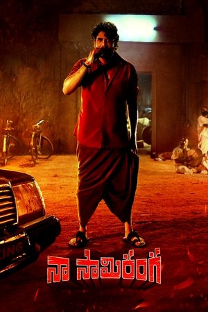 Download Naa Saami Ranga 2024 Hindi+Telugu Full Movie WEB-DL 480p 720p 1080p Filmyhunk