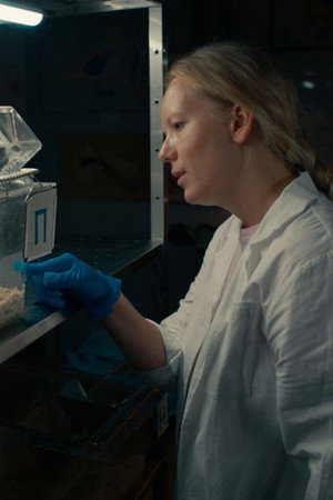 Условные рефлексы