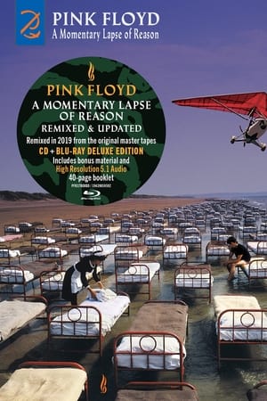 Pink Floyd - A Momentary Lapse of Reason (Remixed & Updated)