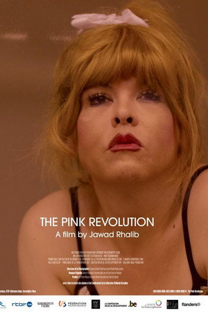 The Pink Revolution poster