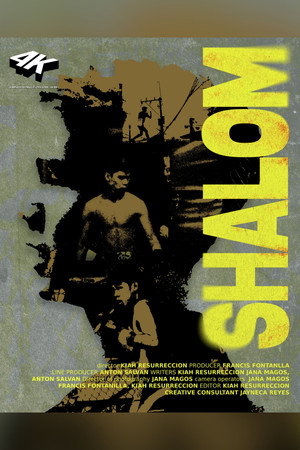 Shalom poster